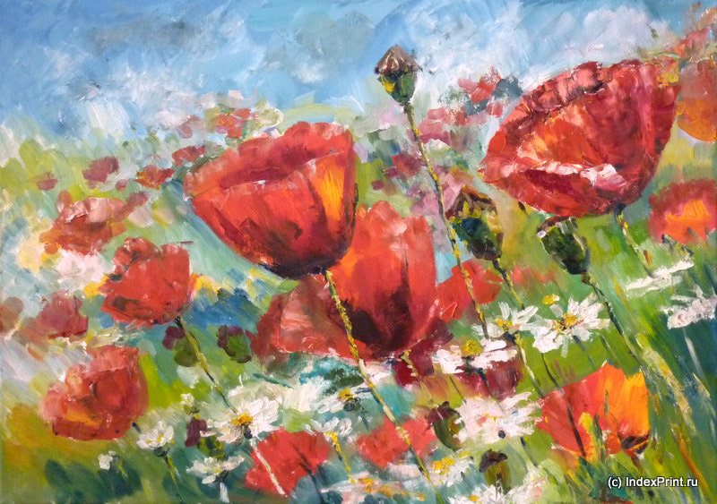 Картина маслом на холсте "Маковое поле" – пейзаж с цветами белых ромашек и красных маков автор Нина Дивинская (Волгоград)