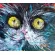 Огромные глаза чёрного кота изображены масляными красками на картине художника Нины Дивинской