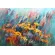 Абстрактная картина "Луговое разноцветие" маслом на холсте.